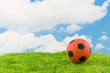 Dutch soccer