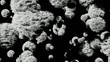 Floating large crowd of dust