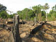 Abholzung - Brandrodung Regenwald, Amazonien Brasilien