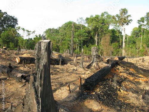 Foto: Abholzung - Brandrodung Regenwald, Amazonien Brasilien Abholzung - Brandrodung Regenwald, Amazonien Brasilien