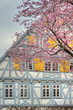 Kirchheim Teck