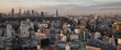 Panorama Tokyo City in Japan at sunset from high above Panorama Tokyo City in Japan at sunset from high above