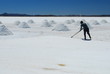 Recolte du sel, Salar de Uyuni
