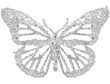 Hand-Drawn Doodle Butterfly