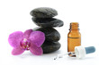 tropfflasche mit blume und steinen