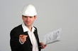 architect
