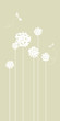 floral background