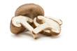 Shitake Mushrooms Shitake Mushrooms
