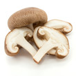 Shitake Mushrooms Shitake Mushrooms