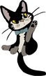 Clichan cat