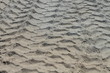 Foto: Spuren im Sand Spuren im Sand