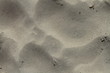 Foto: Spuren im Sand Spuren im Sand