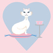 Pampered White Cat