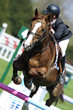 Photo: Jumping France04 Jumping France04