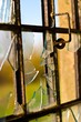 windows windows