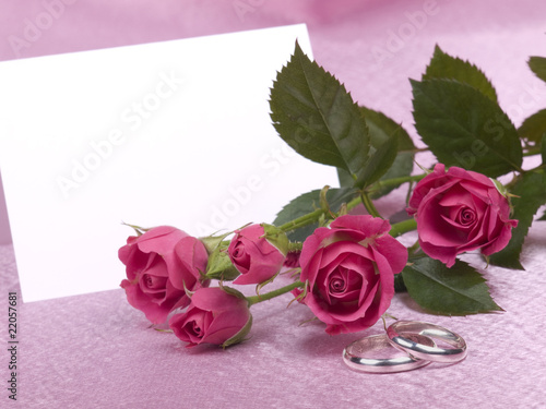Silver wedding rings card and roses on a pink background