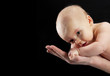 Photo: newborn baby newborn baby