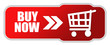 Buy now icon