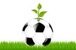 Soccer Ball With Sprout