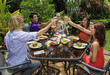 friends at a backyard barbeque raising their glasses in toast friends at a backyard barbeque raising their glasses in toast