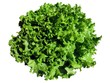 Salade batavia