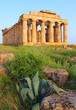 Selinunte (TP), Sicily - Temple Selinunte (TP), Sicily - Temple