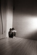 Children's stress
