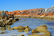 Tasmanien