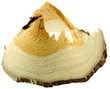 copeau bois bouleau, fond blanc