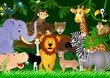 Wild animal cartoon Wild animal cartoon
