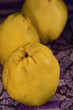 quince fruit