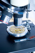 Old watch mechanism under microscope objectives