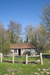 Rustic shack