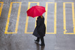 pedestrain with umbrella
