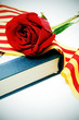 rosa de sant jordi
