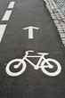 Road marking with arrow and bike Road marking with arrow and bike