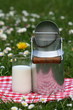lait,verre,vache,pôt,laitage,laitier