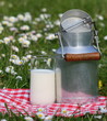 lait,verre,vache,pôt,laitage,laitier lait,verre,vache,pôt,laitage,laitier