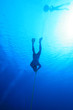 Freediving