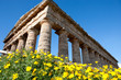 segesta