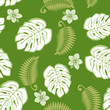 Monstera
