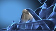 Painful human knee concept with visible bones Painful human knee concept with visible bones