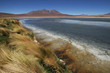 Foto: Laguna Canapa, Bolivian Andes Laguna Canapa, Bolivian Andes