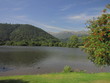 Parc Naturel des Volcans, Massif central ; Mont Dore