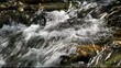 Running water in the Carpathians Mountains