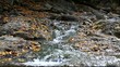 Running water in the Carpathians Mountains