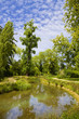 English garden and river in Versailles Chateau, France English garden and river in Versailles Chateau, France