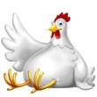 Photo en ligne au meilleur prix chicken