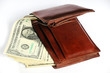 Dollars in wallet