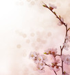Spring Blossoms border